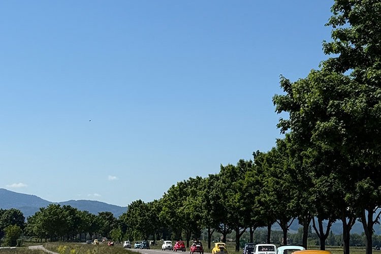 <strong></strong><small>© FIAT 500 et dérivés CLUB DE FRANCE</small>