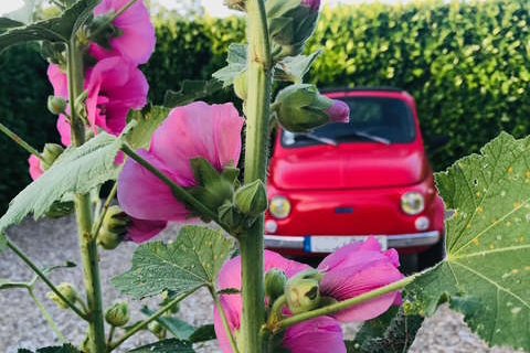 <strong></strong><small>© FIAT 500 et dérivés CLUB DE FRANCE</small>