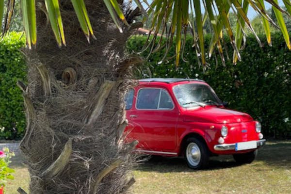 <strong></strong><small>© FIAT 500 et dérivés CLUB DE FRANCE</small>